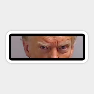 trump mugshot eyes Sticker